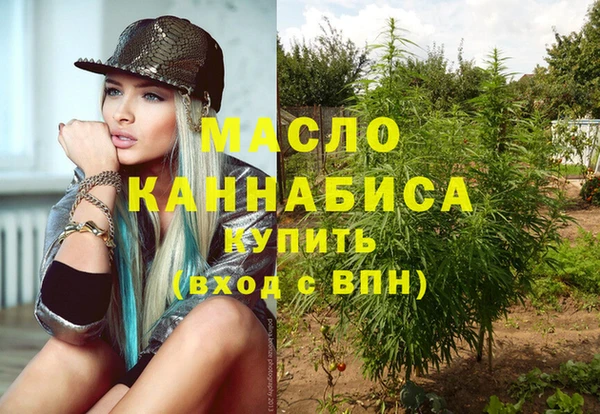 хмурый Вяземский