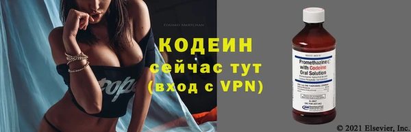хмурый Вяземский