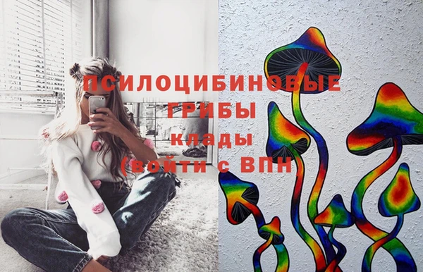 хмурый Вяземский