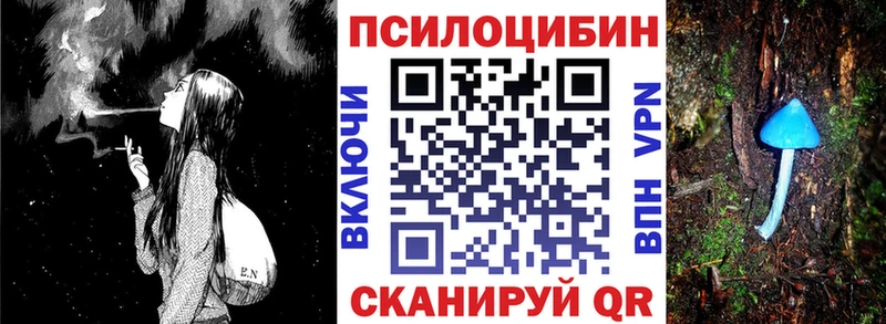 Галлюциногенные грибы Cubensis  как найти наркотики  Дубовка 